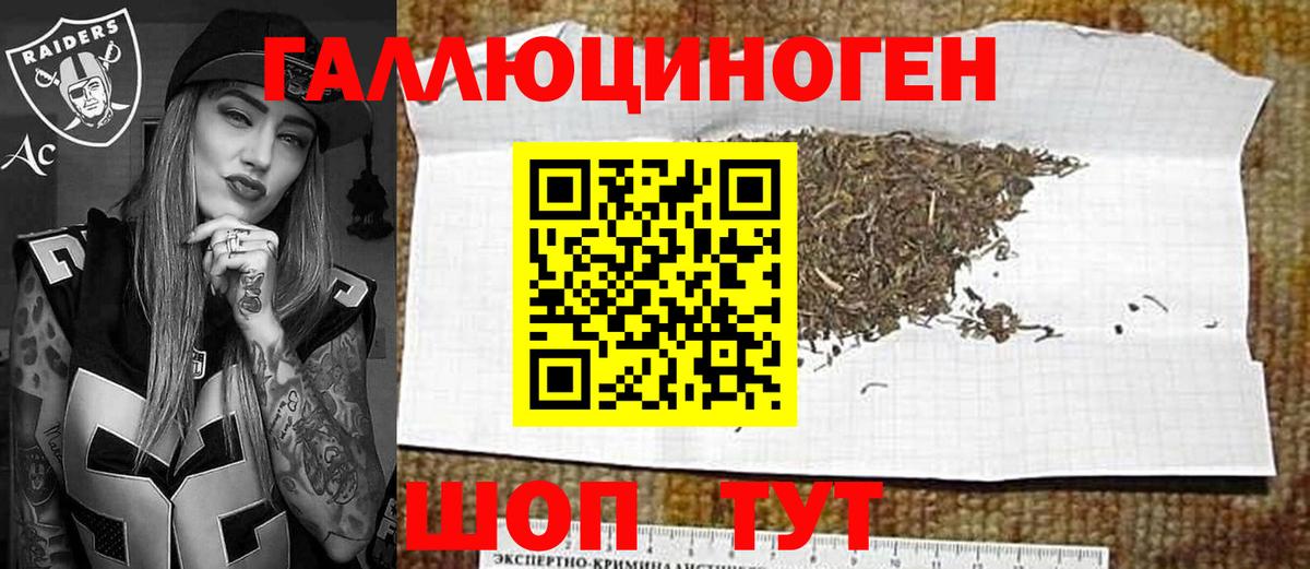 Галлюциногенные грибы мицелий Мурино